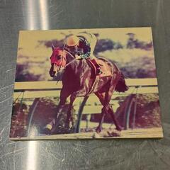 0419-294 競馬パネル