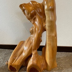 流木・木材 自然形状 高さ約45cmの画像
