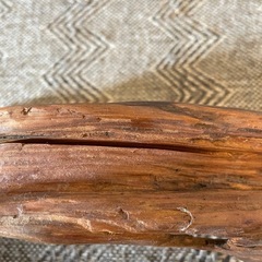 流木 約40cm 自然素材 インテリアの画像