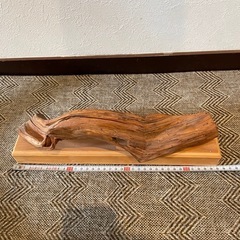 流木 約40cm 自然素材 インテリアの画像