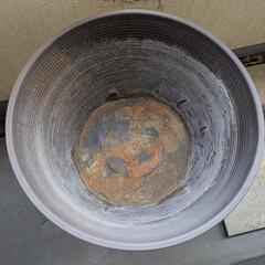【受け渡し予定者決定】メダカの睡蓮鉢/プランターと花台の画像