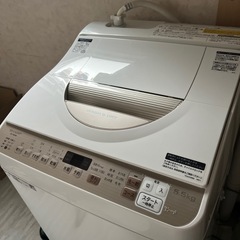 SHARP 洗濯機 2021年製