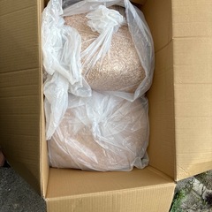 木くずの画像