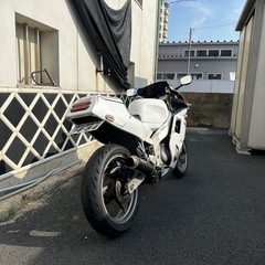 FZR250Rの画像