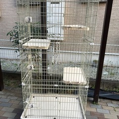 キャットタワー