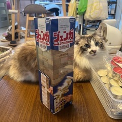 タカラトミーのジェンガの画像