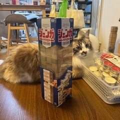 タカラトミーのジェンガの画像