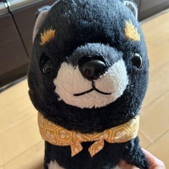 豆シバ