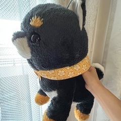 豆シバの画像