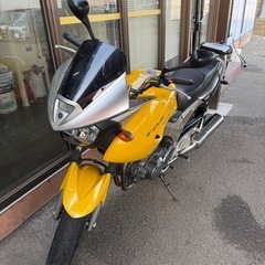 ヤマハ　TDM900  希少車　ワンオーナー　事故無しの画像