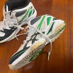 【asics】室内履きバスケシューズの画像