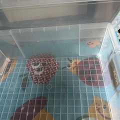 ロックスコンテナボックスの画像