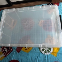 ロックスコンテナボックスの画像