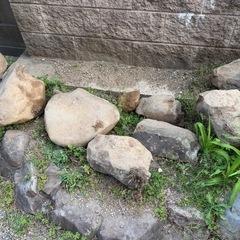 庭石お譲りします。の画像