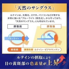 サプリ　ルテイン　目　高濃度　スマホ　疲れ目の画像