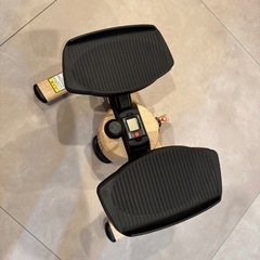 ステッパーの画像