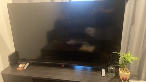 レグザ 55V型 4K 液晶テレビ 55C350X 4Kチューナー内蔵 外付けHDD 裏番組録画 ネット動画対応　2022年