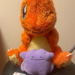 ポケモンぬいぐるみ