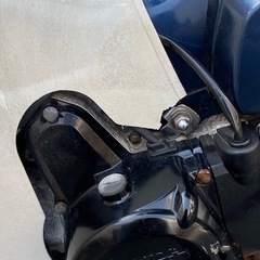 ★ホンダ スーパーカブ 50の画像