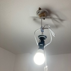 ペンダントライト　　電球２つ付きの画像