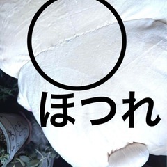 リラックマ特大の画像