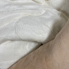 こたつセットの画像