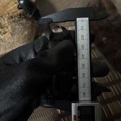 スマトラオオヒラタの画像