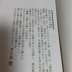 線香の画像