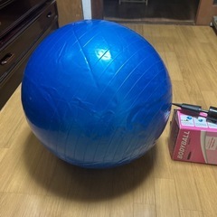 ボディボール