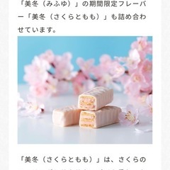 限定品　手提げ袋付き　未開封　白い恋人北海道エアポートセレクションの画像