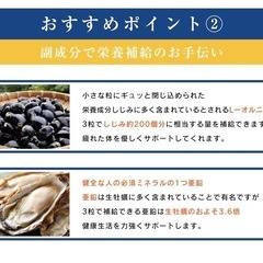 一発銀河 182GINGA 二日酔い 9粒入り マリアアザミ オルニチン 亜鉛 サプリメント 飲み会の画像