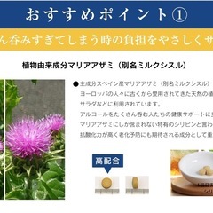 一発銀河 182GINGA 二日酔い 9粒入り マリアアザミ オルニチン 亜鉛 サプリメント 飲み会の画像