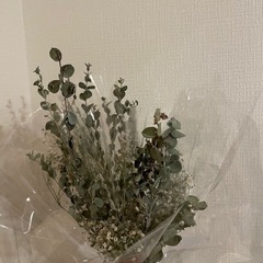 霞草　ユーカリ　ドライフラワーの画像