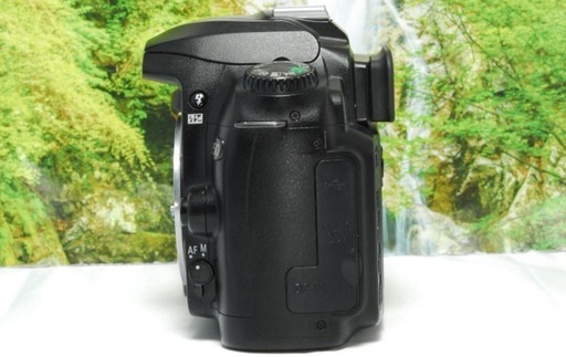 ✨入門モデル✨Nikon D50✨スマホ転送OK✨高倍率レンズセット✨