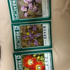 未使用！ジャポニカ学習帳　３冊セット