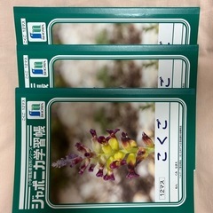 未使用！ジャポニカ学習帳　３冊セット