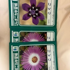 未使用！ジャポニカ学習帳　３冊セット