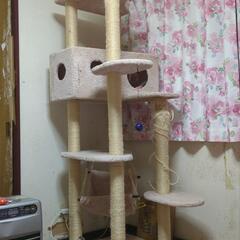 キャットタワー