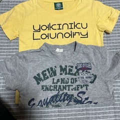 ⑤120Tシャツ