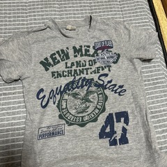 ⑤120Tシャツの画像
