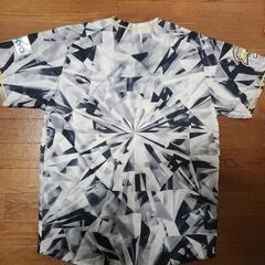 オリックスの画像