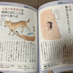 おもしろい！進化のふしぎ　ざんねんないきもの事典&続おもしろい！進化のふしぎ　ざんねんないきもの事典　2冊セット　の画像