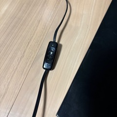 アジアン　間接照明　ココナッツリーフの画像