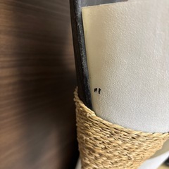 アジアン　間接照明　ココナッツリーフの画像