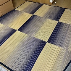い草　ラグ　マット 180cm×180cm