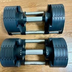 ダンベル1セット(フレックスベル 正規品 20kg 2kg刻み)