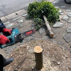 伐採、抜根、草刈り、砂利撒き、防草シート貼りなど