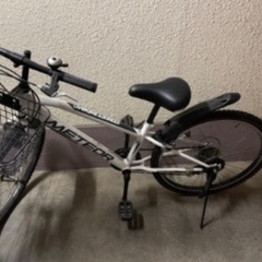 Bianchi IMOLA ビアンキ イモラ 2×10速 サイズ53 新品チェーン