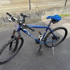 電動自転車 SANYO Eneloop Bike バッテリーと充電器 (くまさん