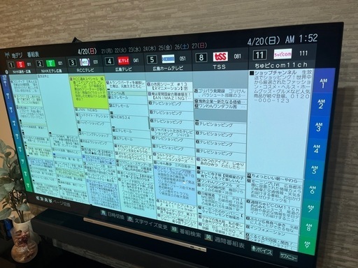 東芝　有機ELテレビ　タイムシフト録画機能付き